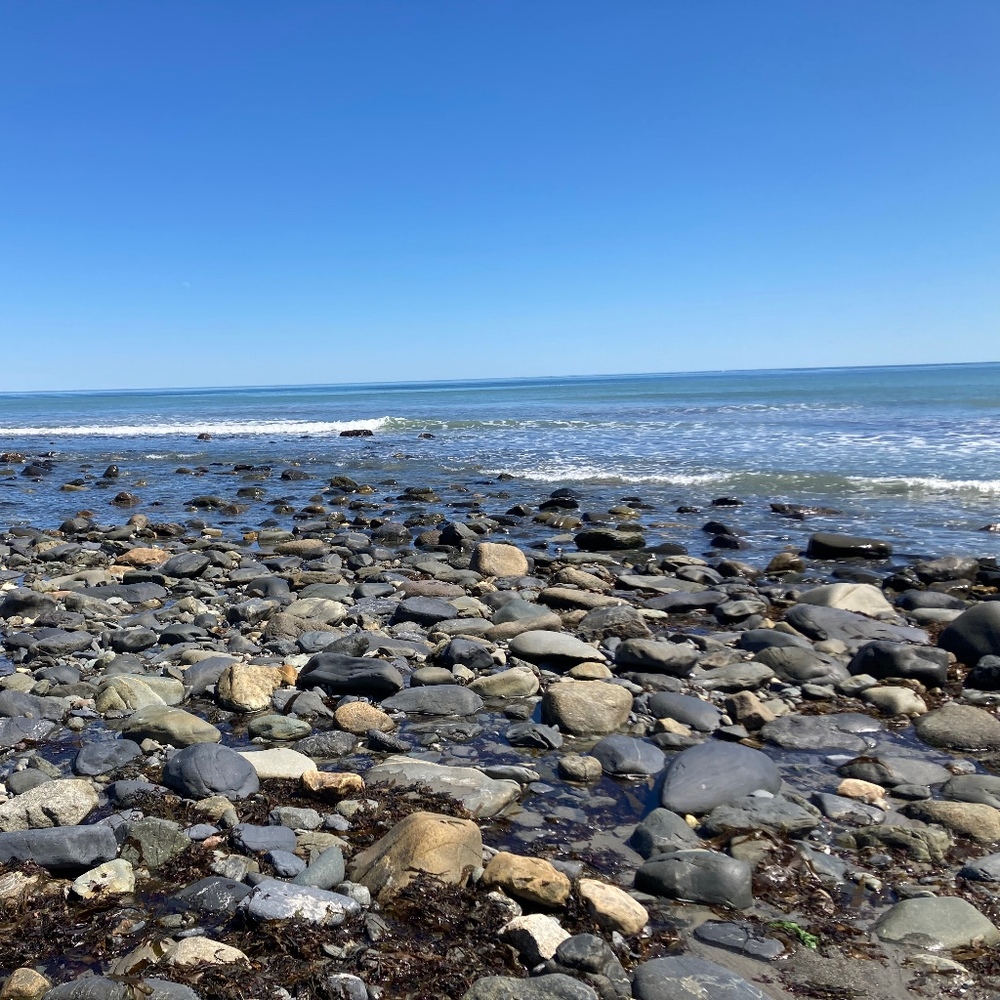 Meet your Posher, Abigail